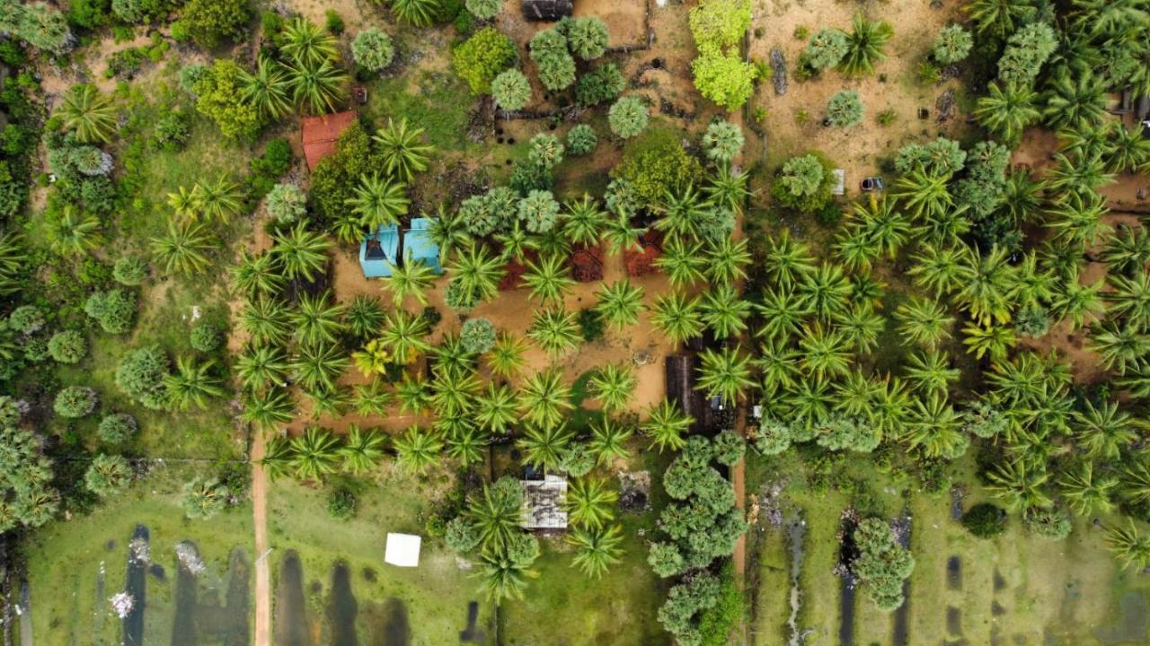 Araliya Villa Kalpitiya Εξωτερικό φωτογραφία