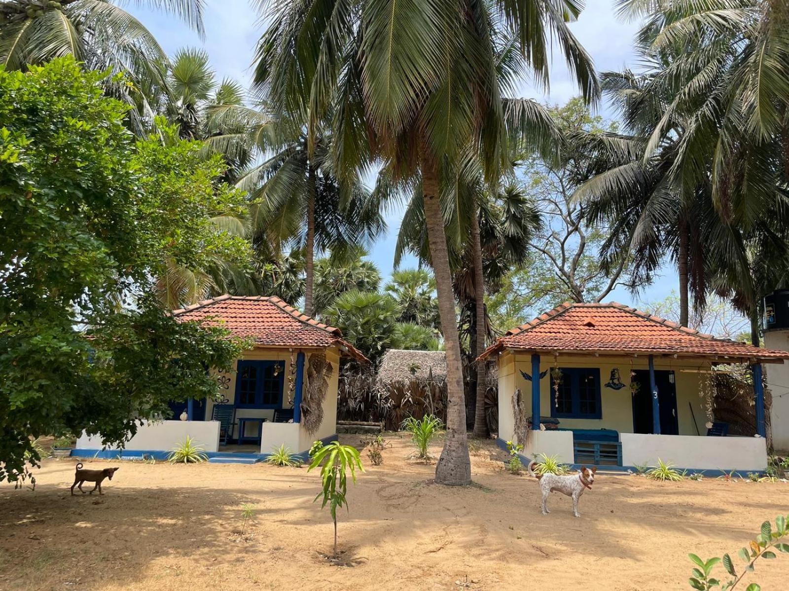 Araliya Villa Kalpitiya Εξωτερικό φωτογραφία